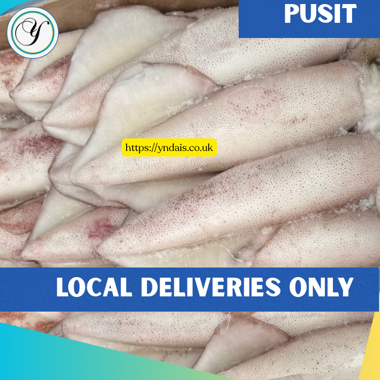 FROZEN PUSIT squid -1kg