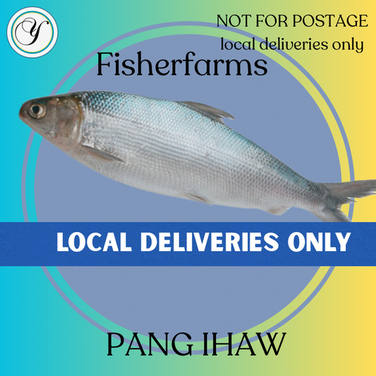 FROZEN FISHER FARMS Milkfish(BANGUS) - Whole pang ihaw (600-800g)