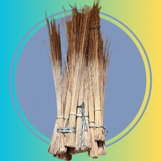 WALIS TINGTING (silhig tukog) per bundle