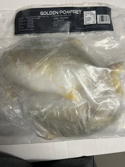 FROZEN GOLDEN POMPRET (POMPANO)500/600 -1 KG LOCAL DELIVERIES ONLY